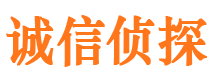 江汉市侦探调查公司